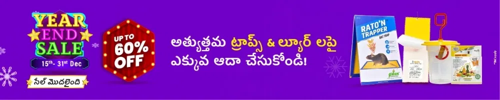 home Banners 0 Image 1