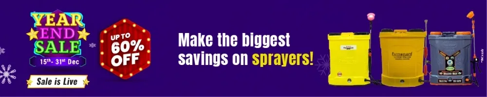 home Banners 0 Image 1