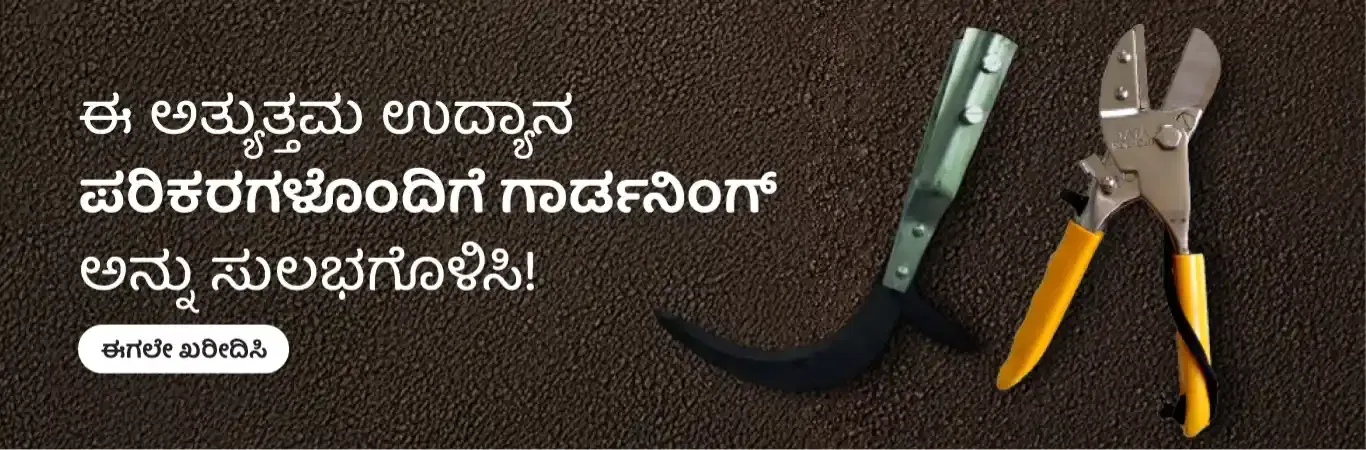 home Banners 2 Image 3