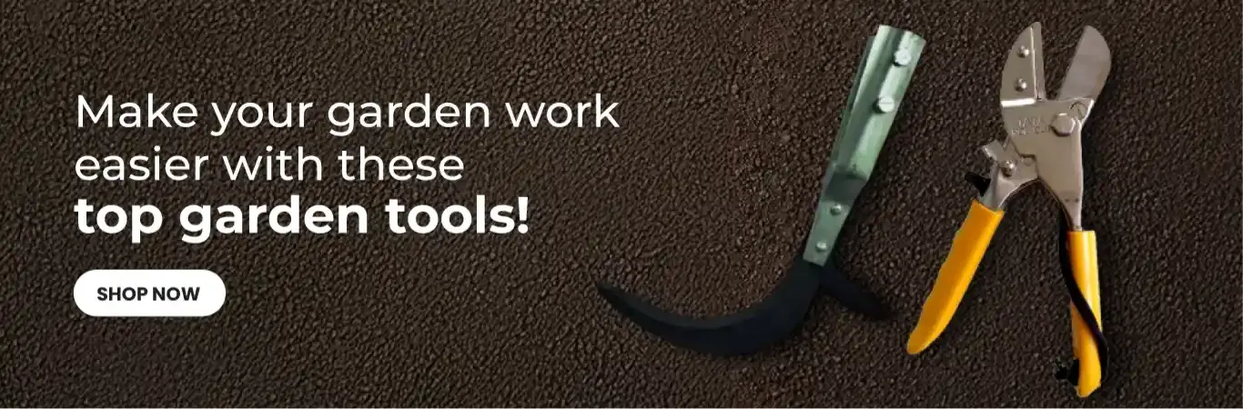 home Banners 3 Image 4