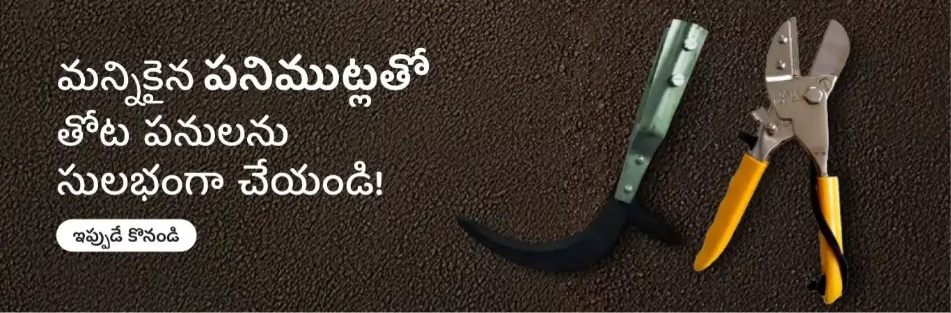 home Banners 3 Image 4