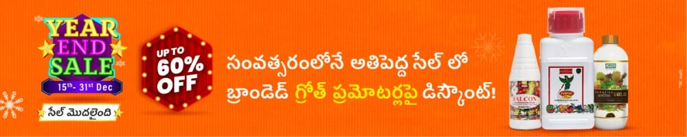 home Banners 0 Image 1