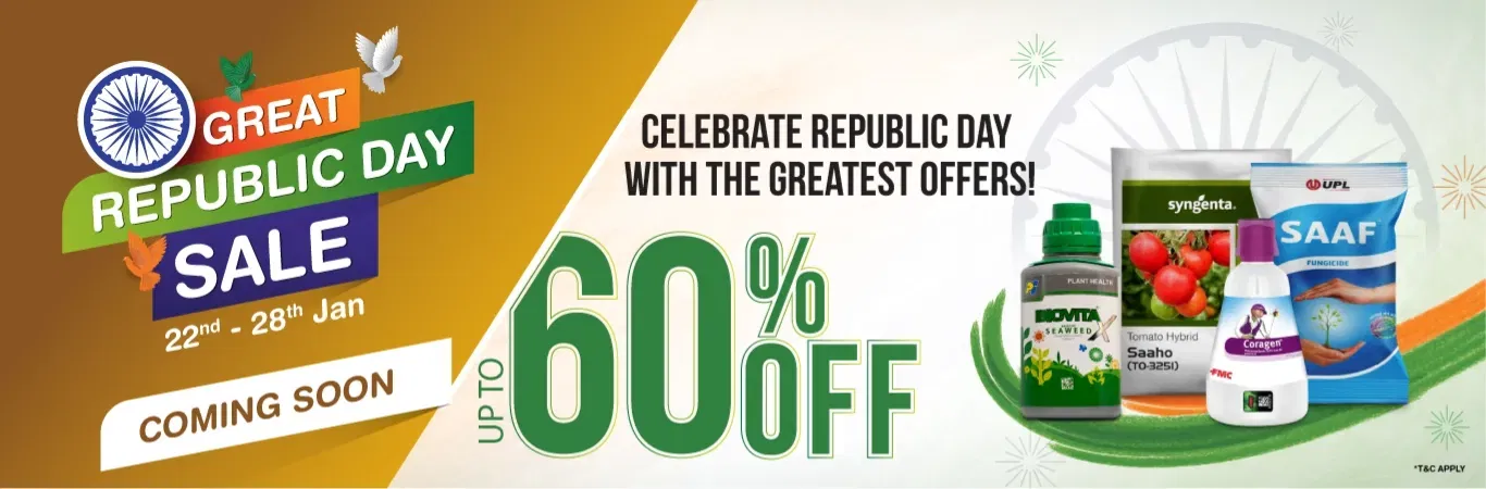 home Banners 0 Image 1