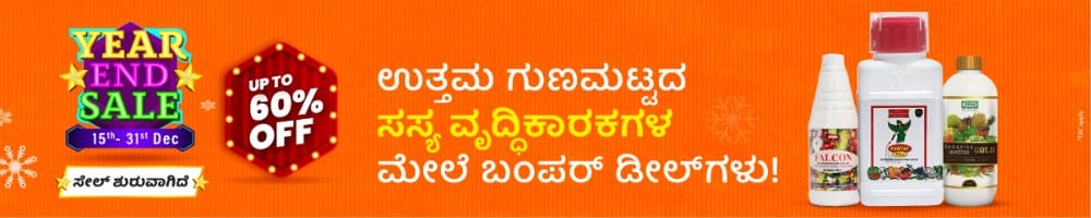 home Banners 0 Image 1