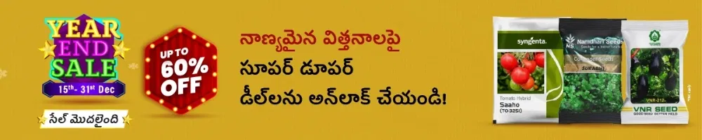 home Banners 0 Image 1