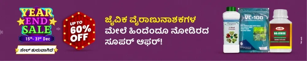 home Banners 0 Image 1