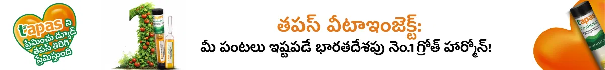 kvBlogDetailsStripBanner