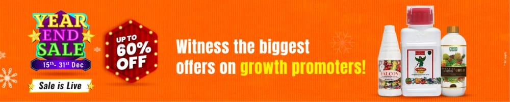 home Banners 0 Image 1