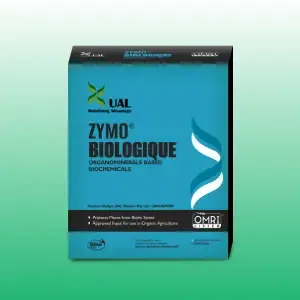 Diesease Management Image