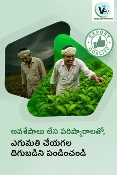 Vijaya Agro Brand Campaign