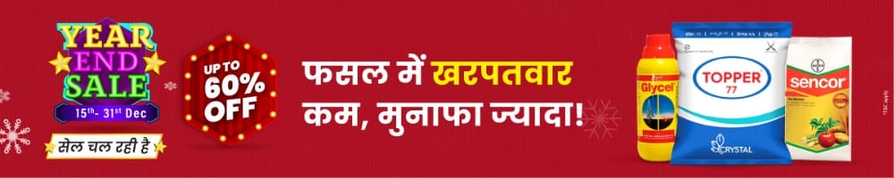 home Banners 0 Image 1