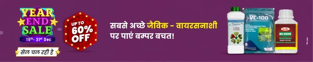 home Banners 0 Image 1