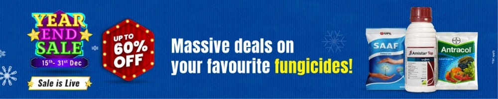 home Banners 0 Image 1