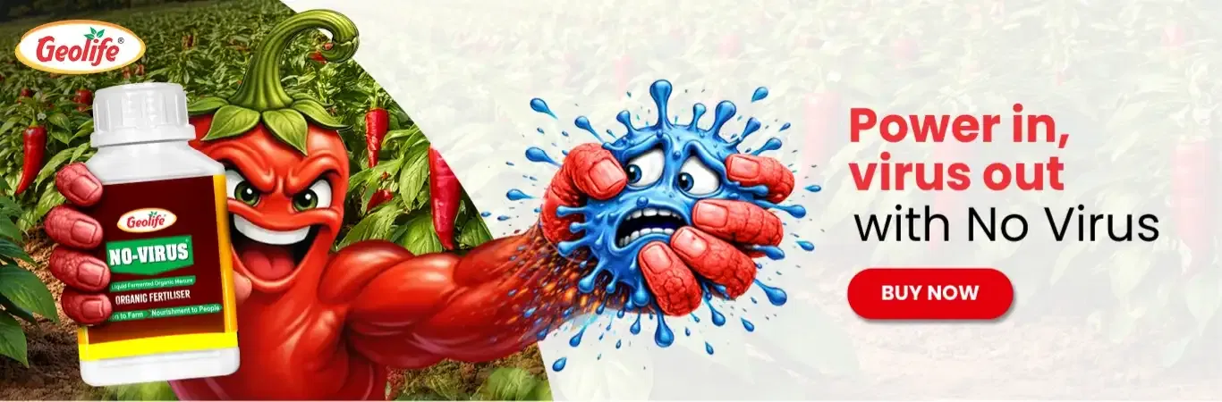 home Banners 0 Image 1