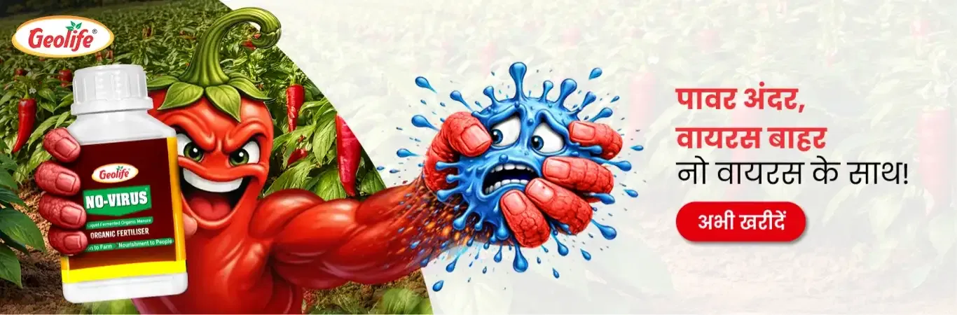 home Banners 1 Image 2