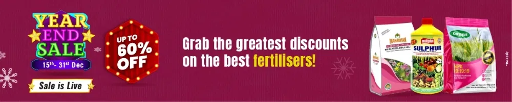 home Banners 0 Image 1