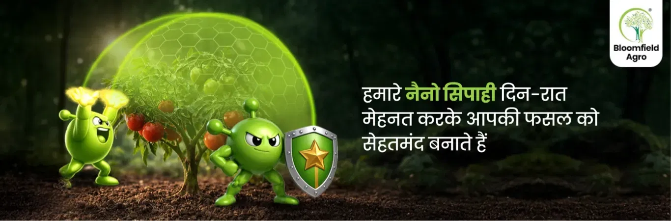 home Banners 2 Image 3