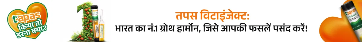 kvBlogDetailsStripBanner