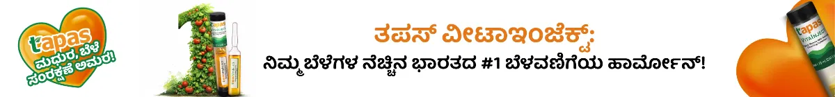 kvBlogDetailsStripBanner