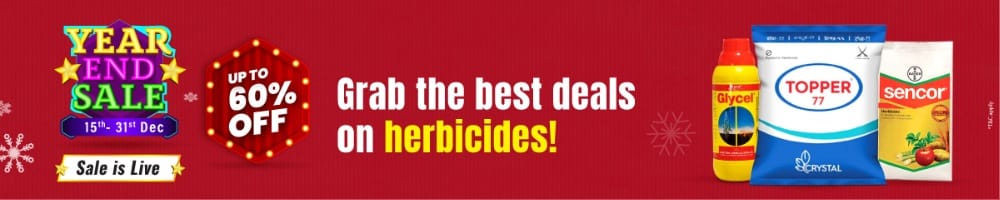 home Banners 0 Image 1