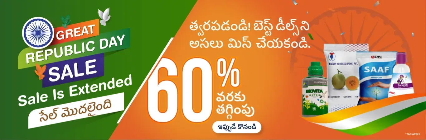 home Banners 0 Image 1