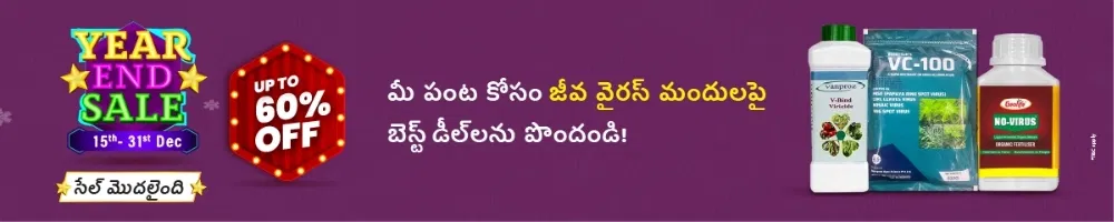 home Banners 0 Image 1