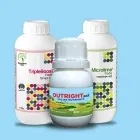 Crop Nutrition Image