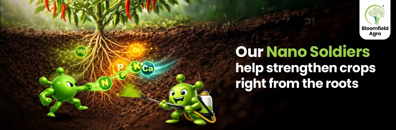 Hero Banner 0 Image 1