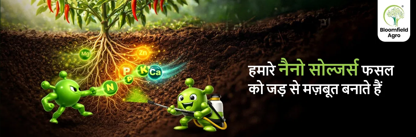 Hero Banner 0 Image 1