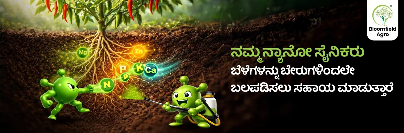 Hero Banner 0 Image 1