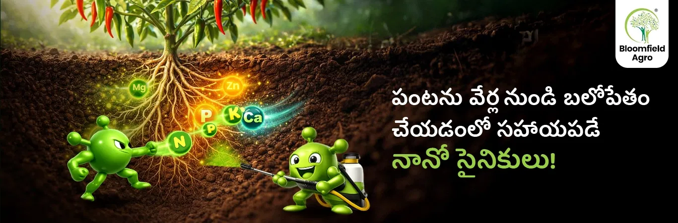 Hero Banner 0 Image 1