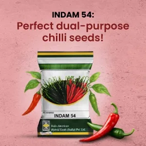 indamExclusiveBanners1