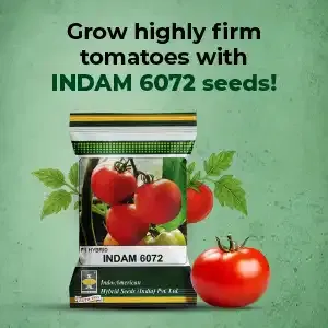 indamExclusiveBanners3