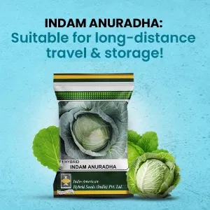 indamExclusiveBanners2