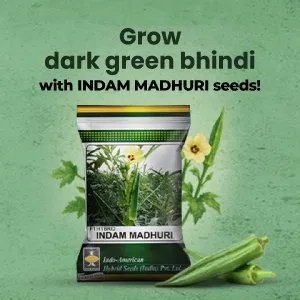 indamExclusiveBanners3