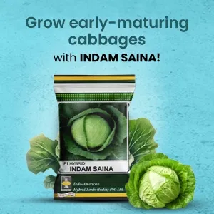 indamExclusiveBanners1