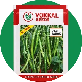Vegetable Seeds Image