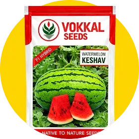 Watermelon Seeds Image