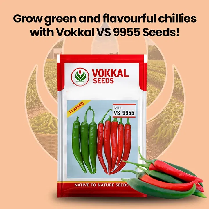 vokkalExclusiveBanners1