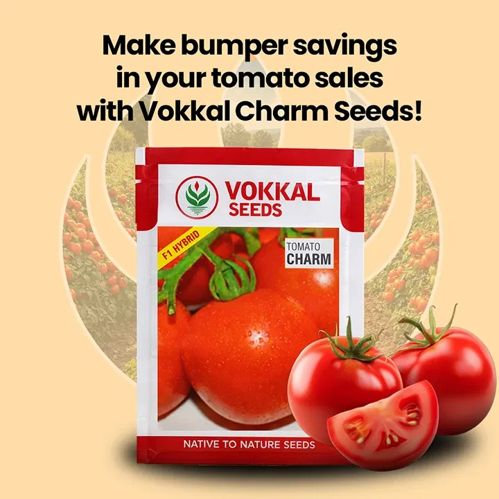 vokkalExclusiveBanners1