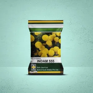 Flowers Image