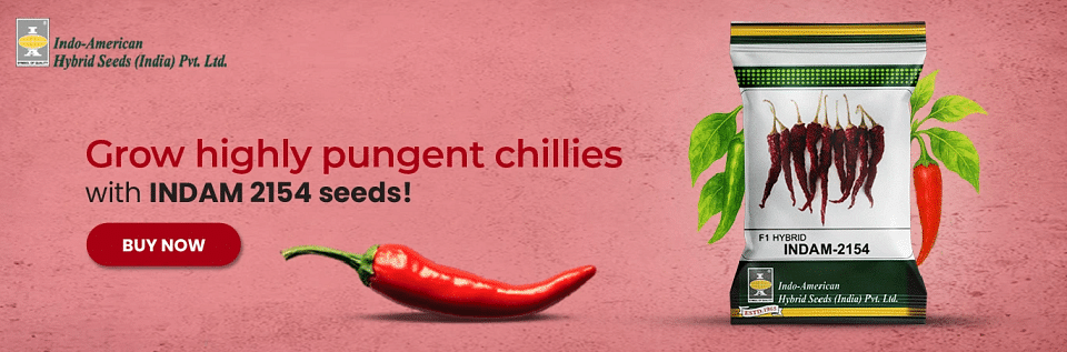 Indam Vegetable Seeds Image Image 1