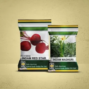 Vegetable Seeds Image