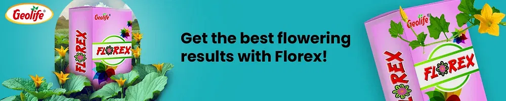 Geo Life Florex Flower Booster Image 2