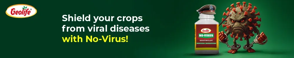 Geolife No Virus Image 2