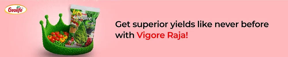 GeoLife Vigore Raja Image 2