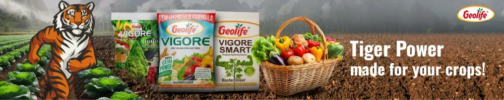 Geolife Bio Fertilizer Image 2