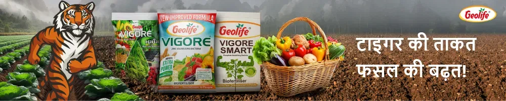 Geolife Bio Fertilizer Image 2
