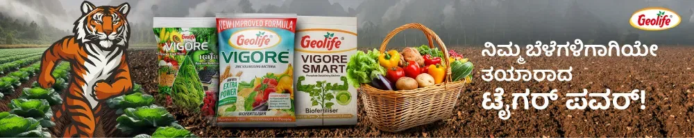 Geolife Bio Fertilizer Image 2