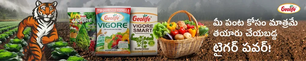 Geolife Bio Fertilizer Image 2